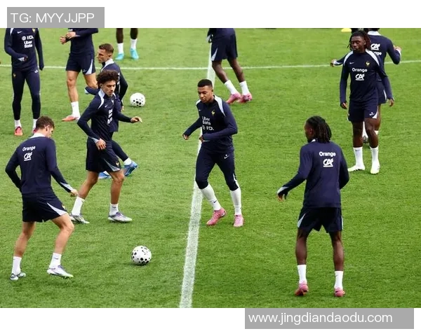 法国足球世界杯球星名单及其历史表现分析揭秘