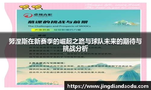 努涅斯在新赛季的崛起之路与球队未来的期待与挑战分析