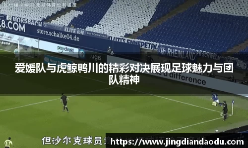 DB视讯官网