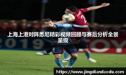 上海上港对阵悉尼精彩视频回顾与赛后分析全景呈现
